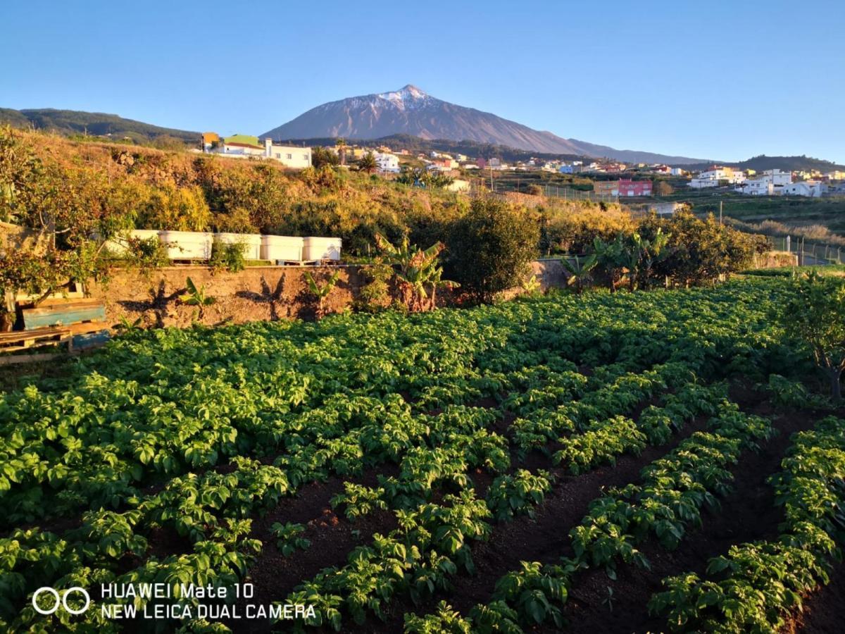 Finca Los Angeles San Juan de la Rambla Екстер'єр фото